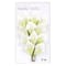 12 Packs: 12 ct. (144 total) Calla Lily Paper Flowers by Recollections™